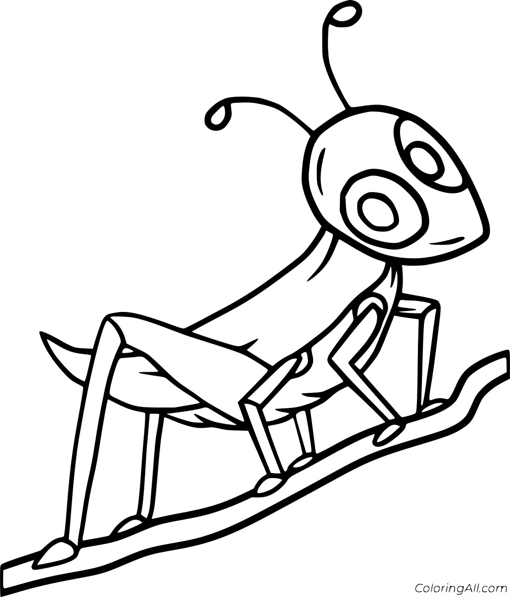 Grasshopper on the Branch Coloring Page