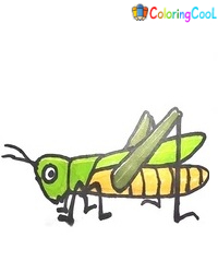 8 Simple Steps To Create A Nice Grasshopper Drawing – How To Draw A Grasshopper Coloring Page
