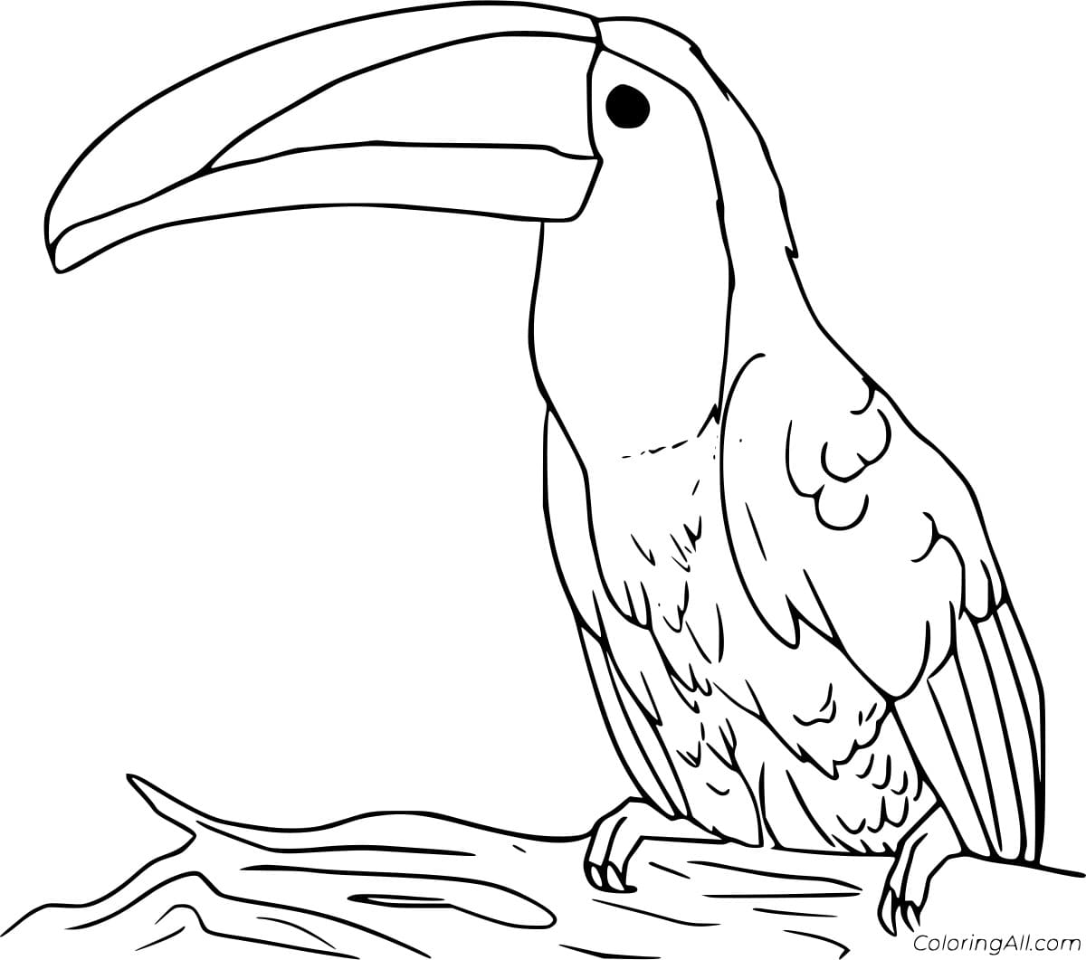 Guyana Toucanet Free Printable Coloring Page