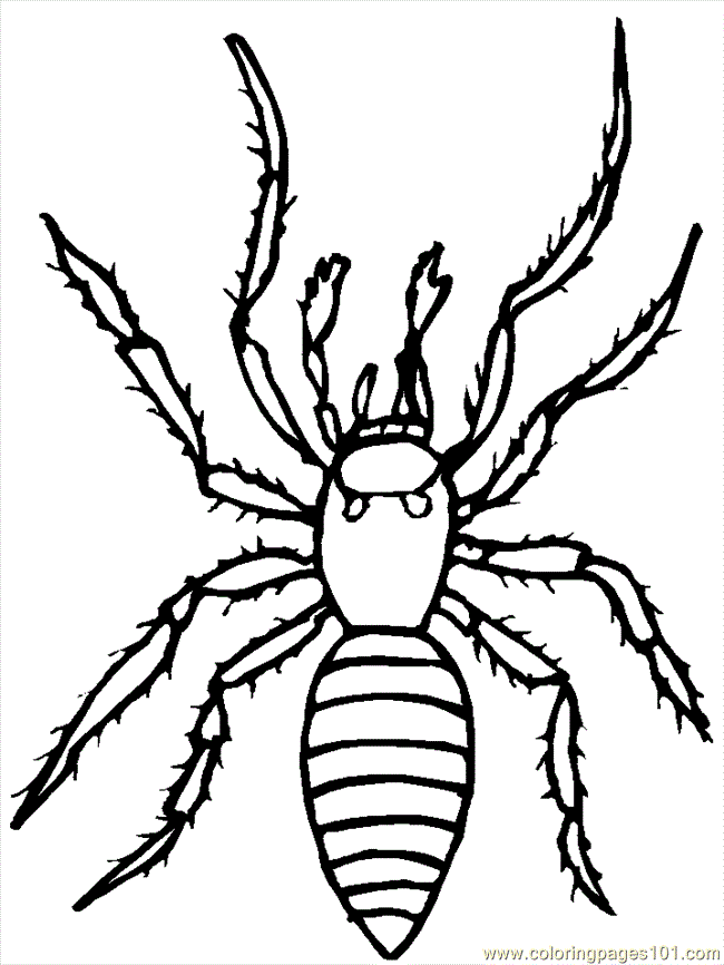 Halloween Spider Free Printable Coloring Page