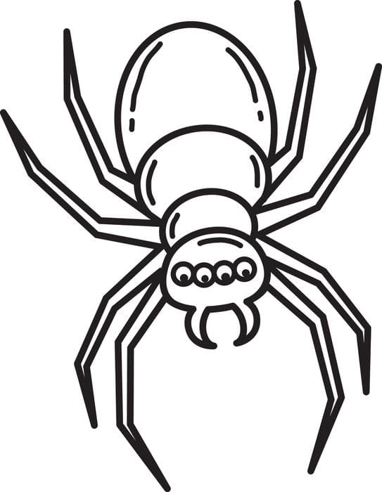 Halloween Spider Free Printable Coloring Page