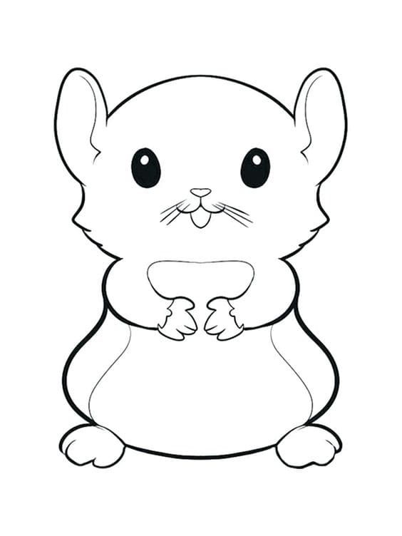 Hamster Coloring Picture