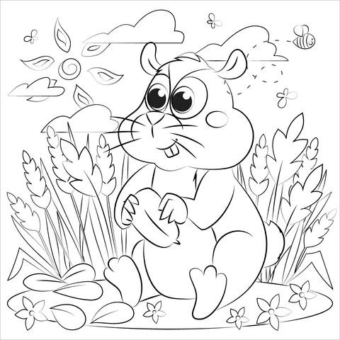 Hamster Coloring To Print Coloring Page
