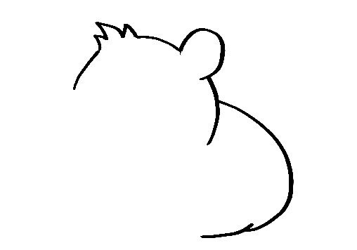 Hamster-Drawing-2