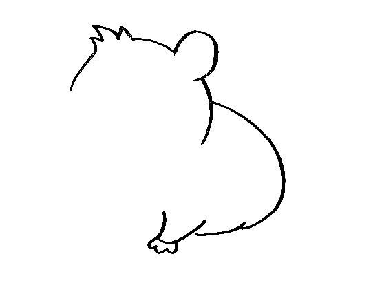 Hamster-Drawing-3