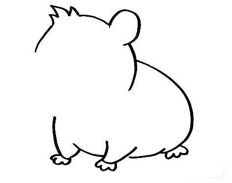Hamster-Drawing-4