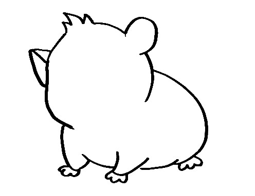 Hamster-Drawing-5