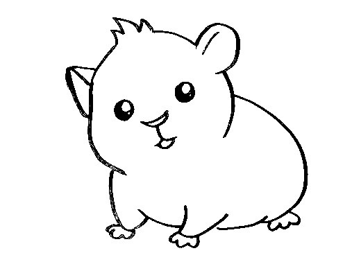 Hamster-Drawing-6