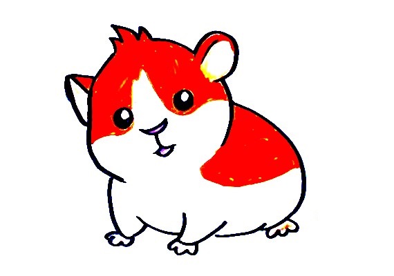 Hamster-Drawing-7