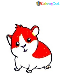 7 Simple Steps To Create A Cute Hamster Drawing – How To Draw A Hamster Coloring Page