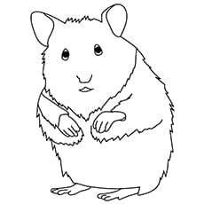 Hamster Fairy Free Printable Coloring Page