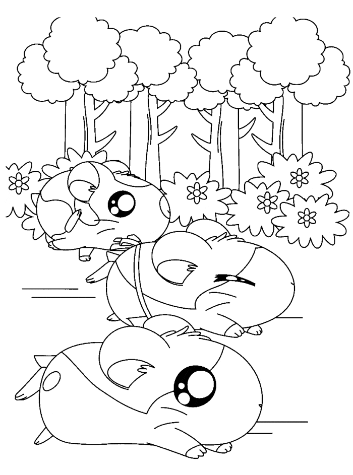 Hamster Free Image Coloring Page