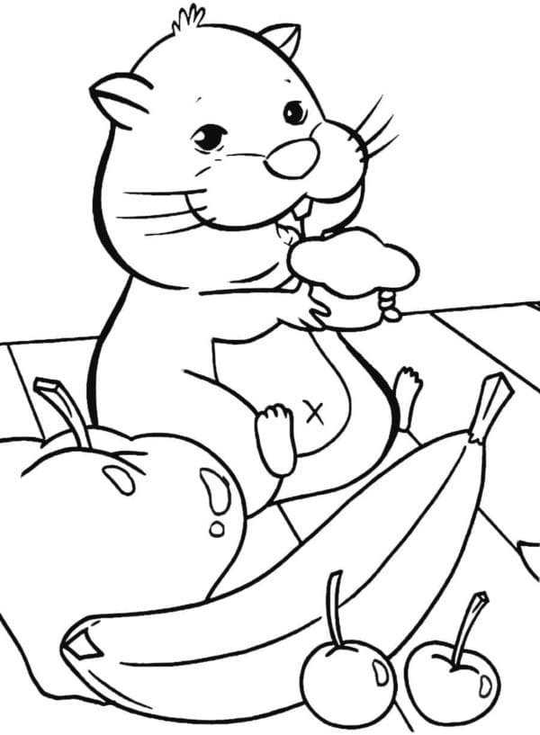 Hamster Fruit Lunch Coloring Page