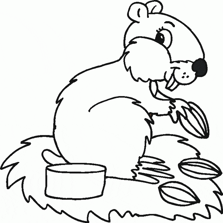 Hamster Pictures Free Image Coloring Page