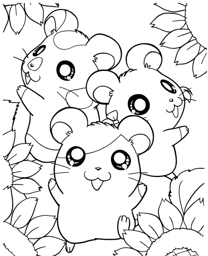 Hamster Pictures Printable Coloring Page