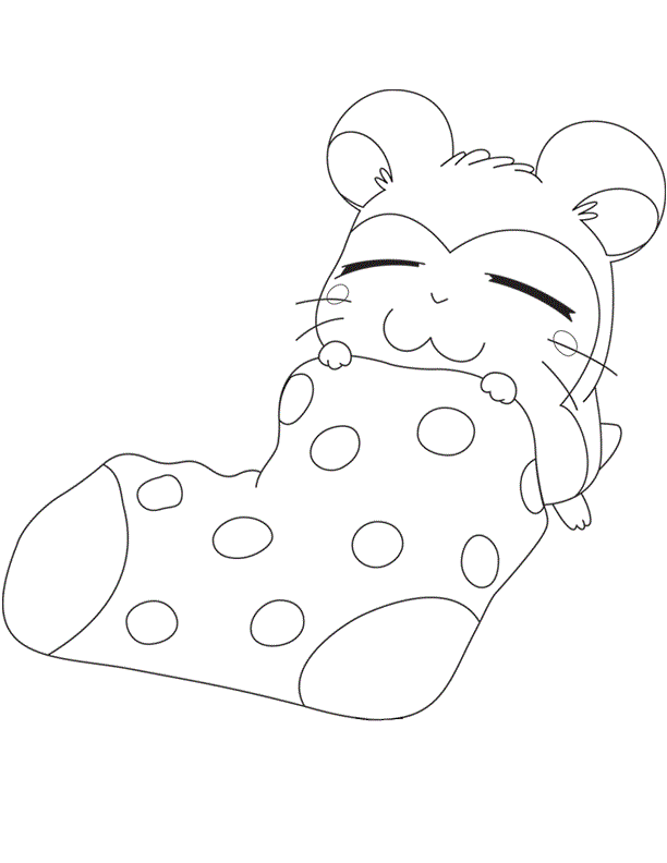 Hamster Pictures To Color Free Printable Coloring Page