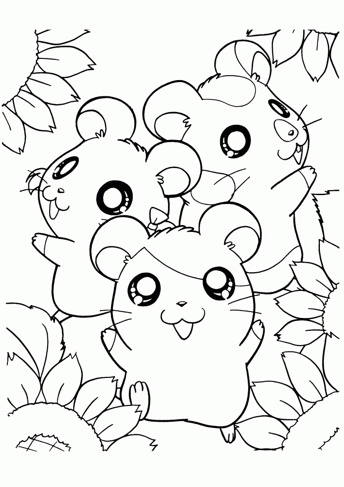 Hamster Pictures To Color Printable