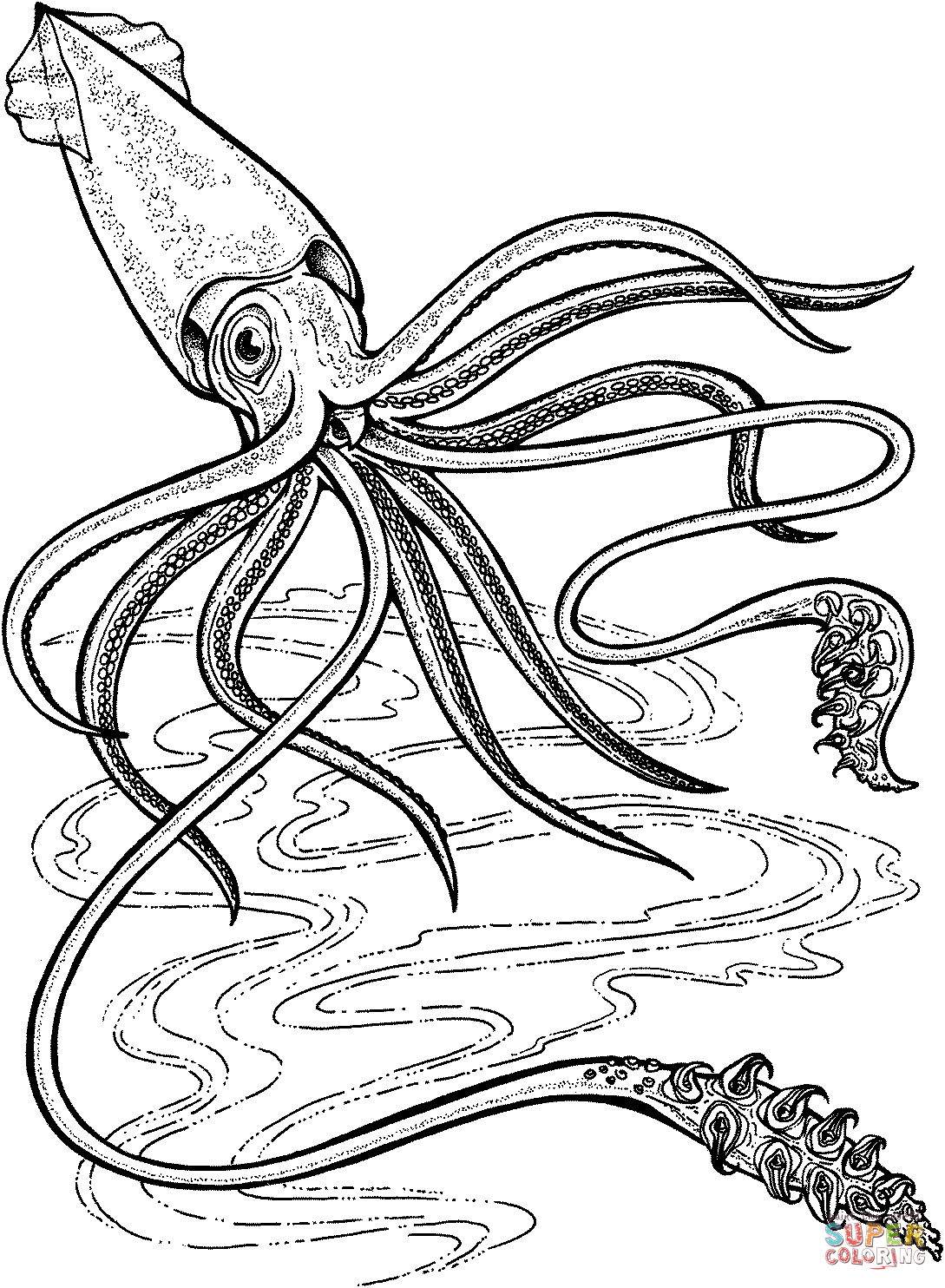 Hard Squid Painting