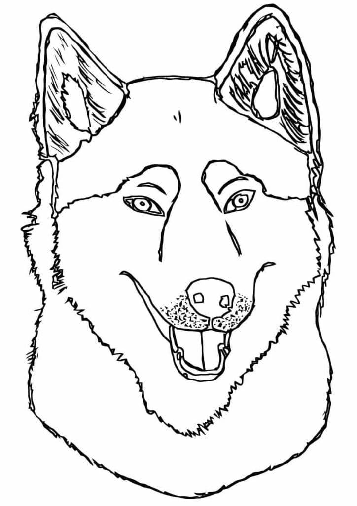 He Seems To Be Smiling Coloring Page