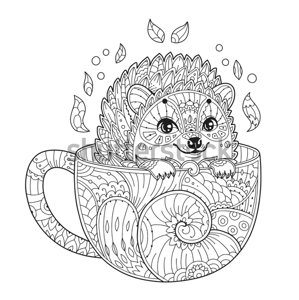 Hedgehod Image To Print Coloring Page