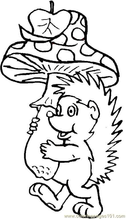 Hedgehog Coloring Free Image Coloring Page