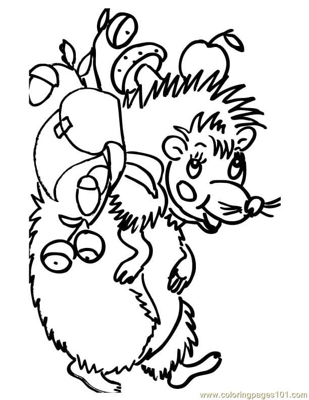 Hedgehog Coloring Page Image Free Coloring Page