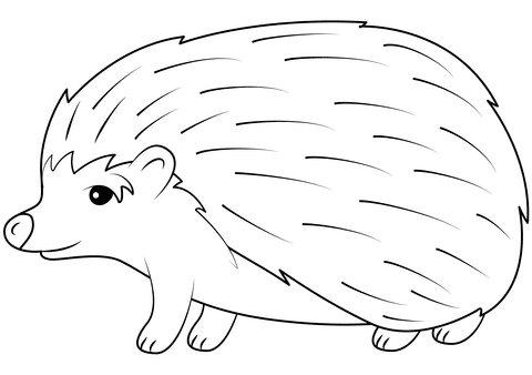 Hedgehog Coloring To Print Coloring Page