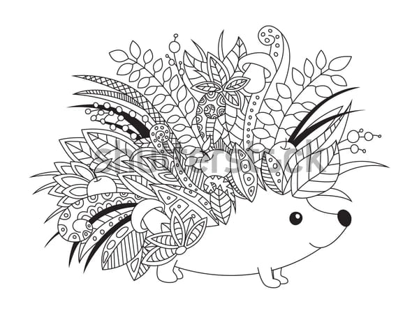 Hedgehog Cute Image To Print Coloring Page