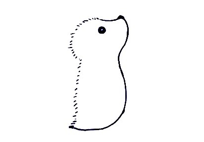 Hedgehog-Drawing-2