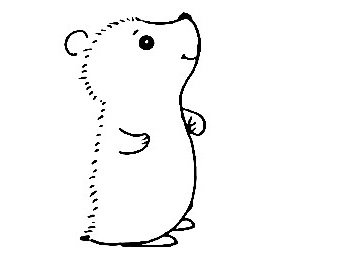 Hedgehog-Drawing-5