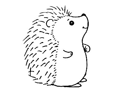 Hedgehog-Drawing-6