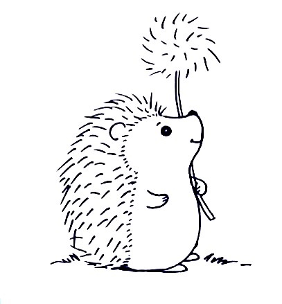 Hedgehog-Drawing-7