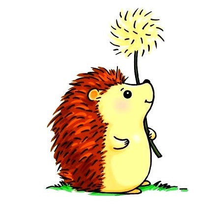 Hedgehog-Drawing-8