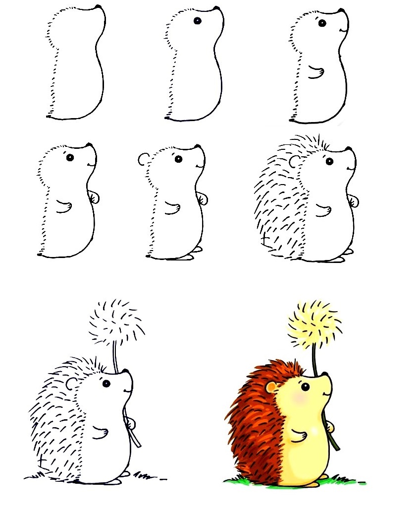 Hedgehog-Drawing