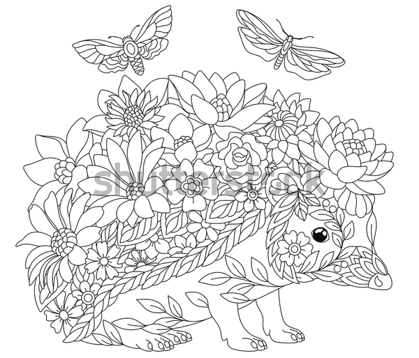 Hedgehog Free Picture Coloring Page