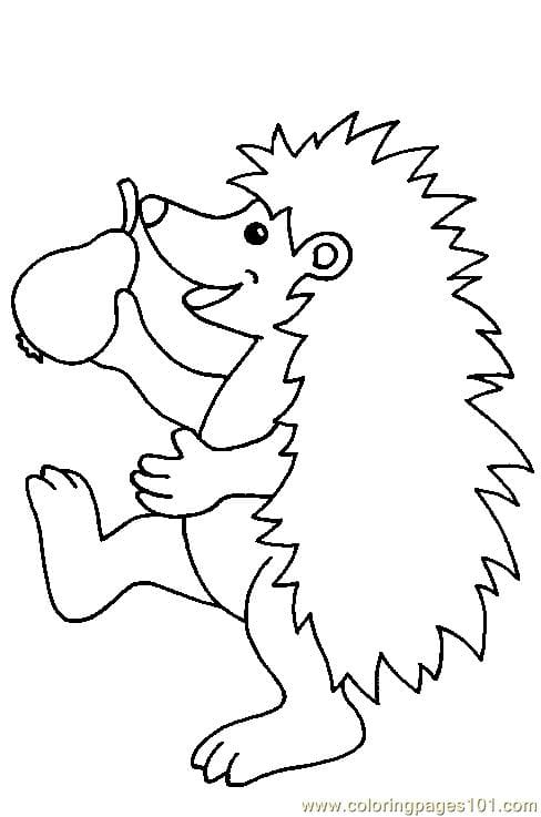 Hedgehog Picture Kids Coloring Page