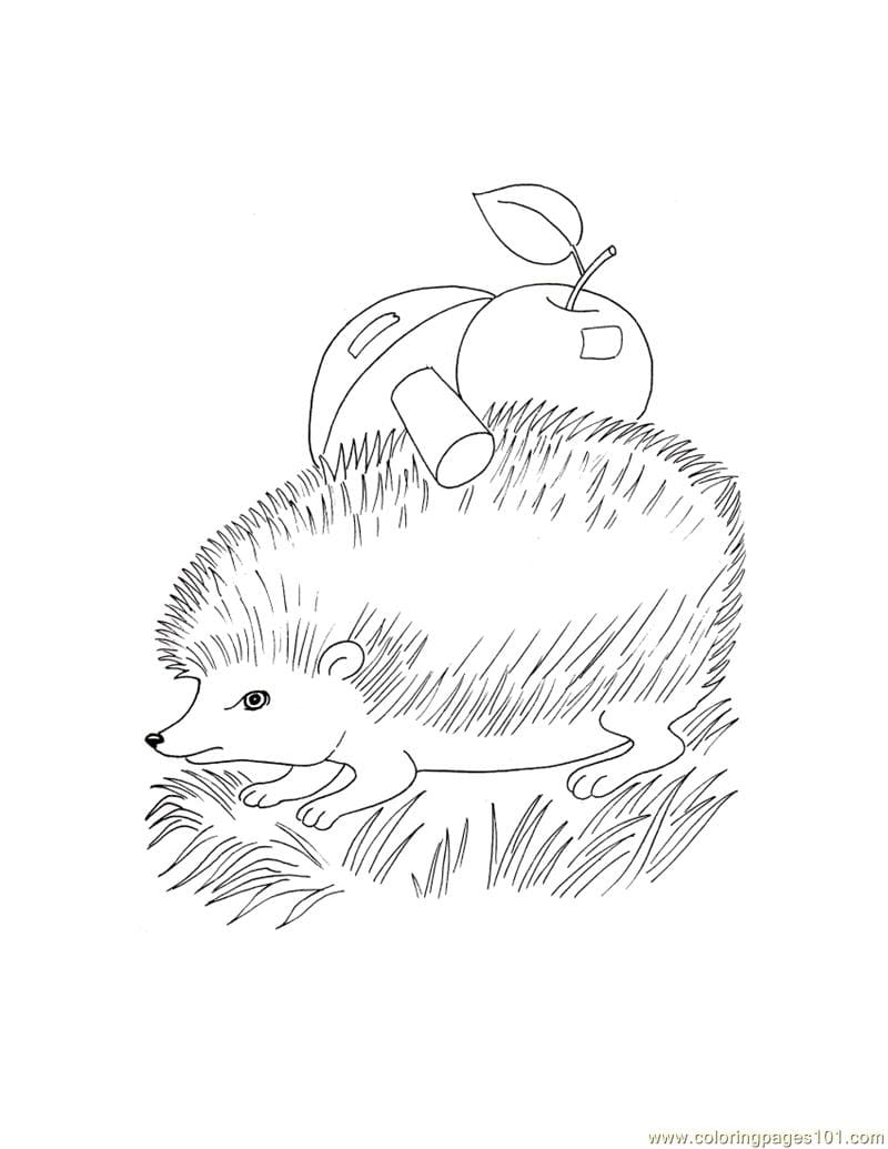 Hedgehog Style Coloring Page
