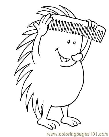 Hedgehog With Comb Coloring Page