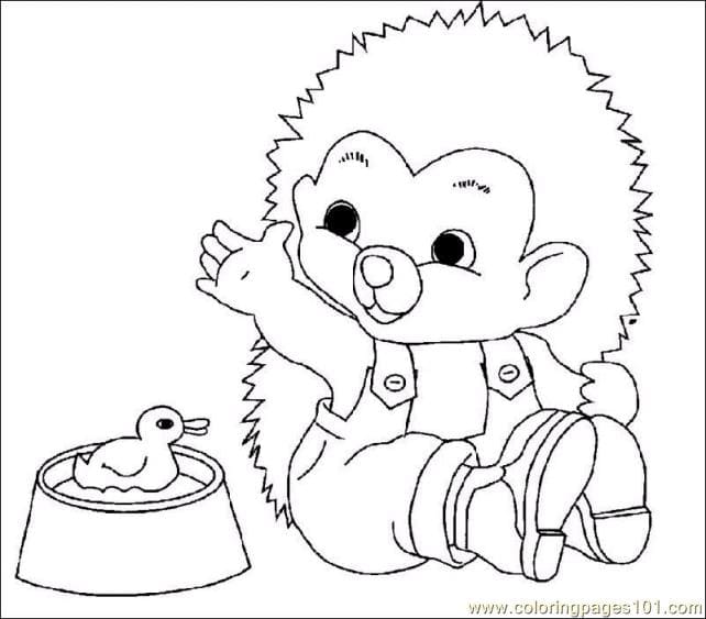 Hedgehog With Duck Coloring Page Coloring Page