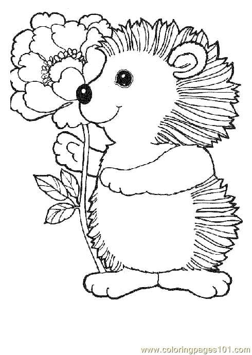 Hedgehog With Flower To Print Coloring Page