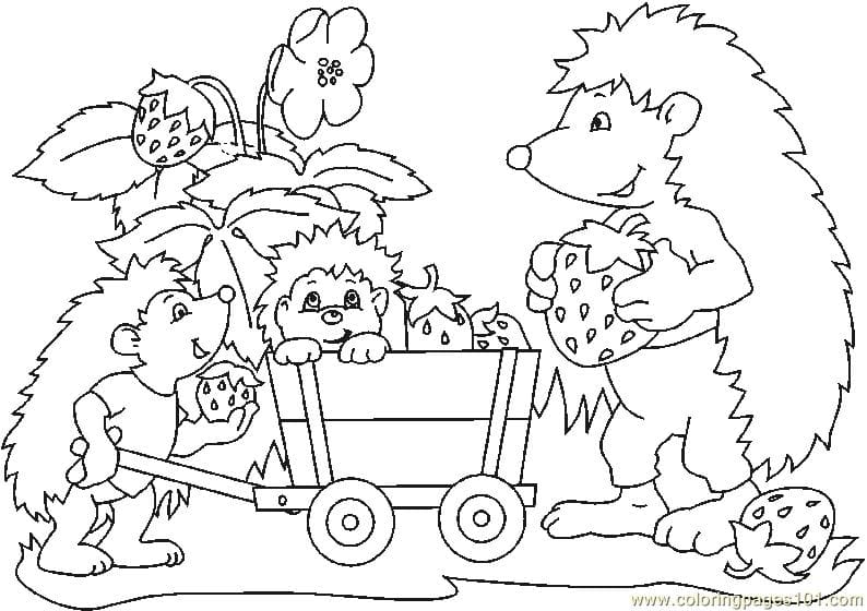 Hedgehog With Strawberry Coloring To Print Coloring Page