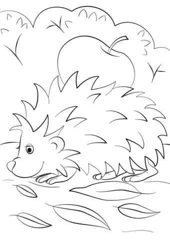 Hedgehog with Apple Image Coloring Page