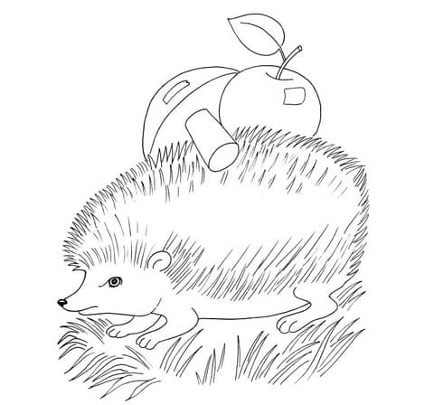 Hedgehog with Apple And Mushroom