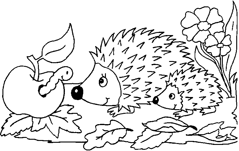 Hedgehogs Coloring Page For Kids Coloring Page