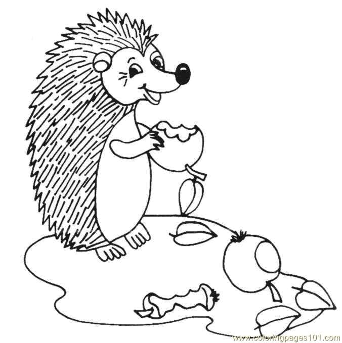Hedgehogs Eating Apples Coloring Page Coloring Page