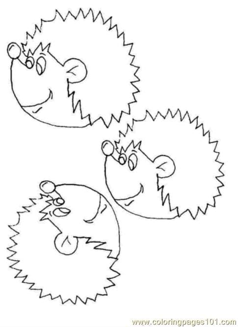 Hedgehogs Faces Coloring To Printable Coloring Page