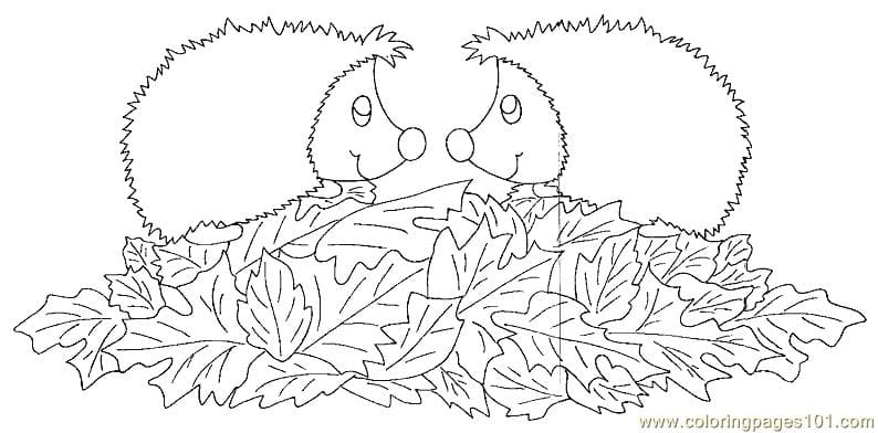 Hedgehogs Faces Coloring page