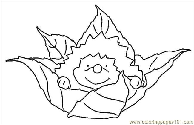 Hedgehogs Picture Coloring Page