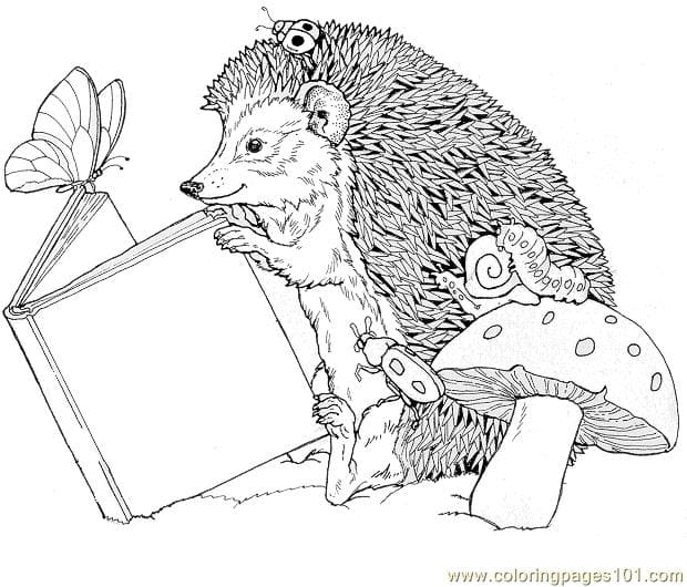 Hedgehogs Read Book Free Printable Coloring Page