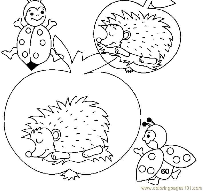 Hedgehogs Sleeping Coloring Page